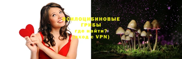 не бодяженный Гусиноозёрск
